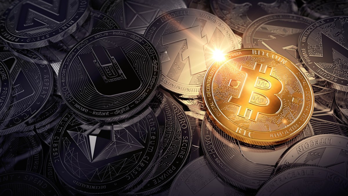 Prospects for Opening a Bitcoin Casino Nowadays - rorrhs-ohhrrn.ca